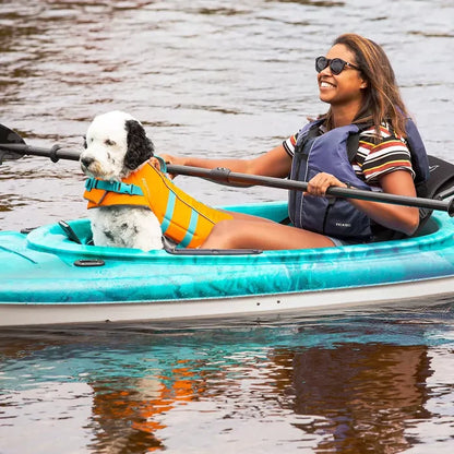 Dog Traction Pad