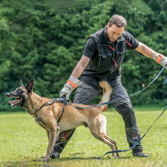 Hundeführer in blauer Hundesport-Bekleidung im Working-Dog-Unterordnungstraining