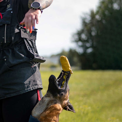 IQ Hundesport Weste Magnettasche – Hund fängt Ball für sauberes Fußlaufen und präzises Timing