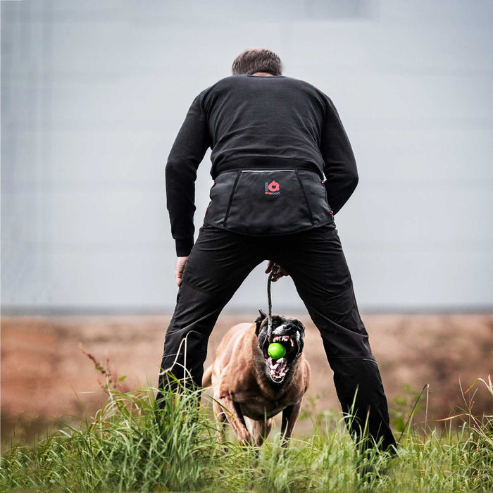Hundeführer im Training mit Multifunktionsgürtel – schneller Zugriff auf Futterbeutel und Spielzeug für Belohnung beim Hundetraining