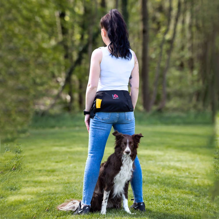 IQ Dogsport Multifunktionsgürtel beim Hundetraining mit Border Collie