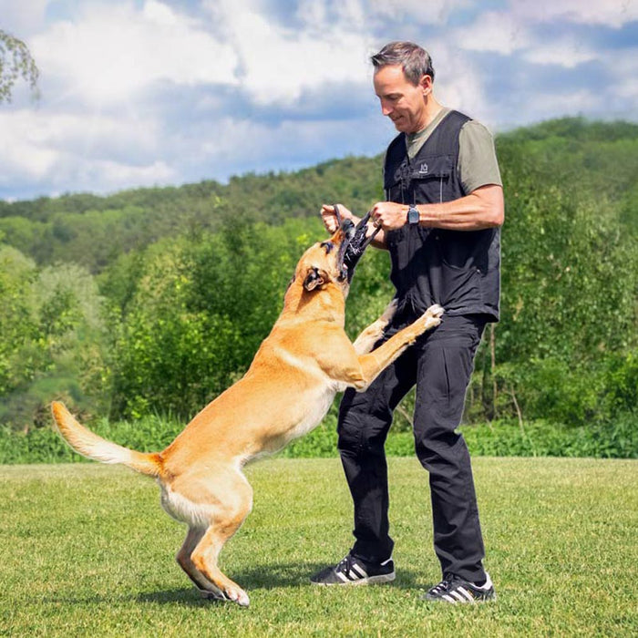 IQ Summer Vest 3.0 - Dog Sport Vest for Warm Days