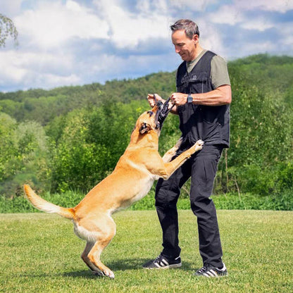 IQ Summer Vest 3.0 - Dog Sport Vest for Warm Days