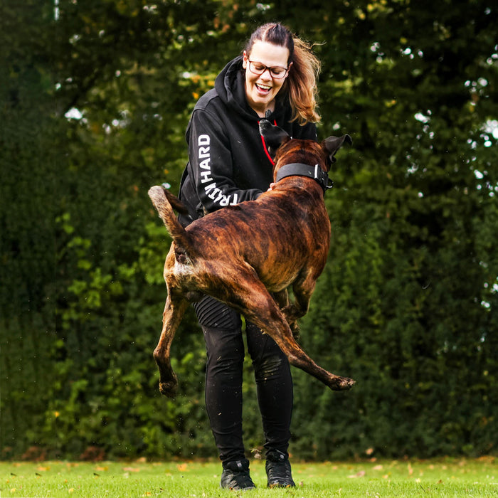 Frau mit Trainingspullover spielt mit Boxer