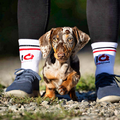 Weiße Dogsport Socken von IQ Dogsport mit Hund im Training
