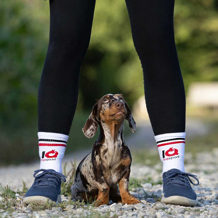 IQ Dogsport Trainingssocken in Weiß für Hundesport und Outdoor-Einsatz