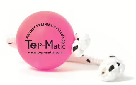 Top-Matic Fun Ball Pink
